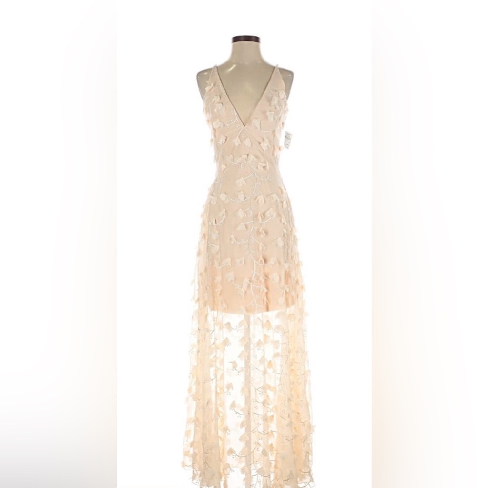Dress the Population Champagne Illusion Maxi Dress, Size Small